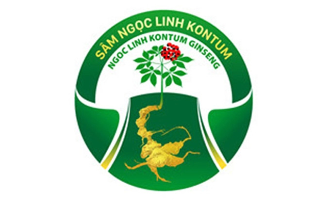 La marca del ginseng Ngoc Linh. (Fotografía: Nhan Dan)