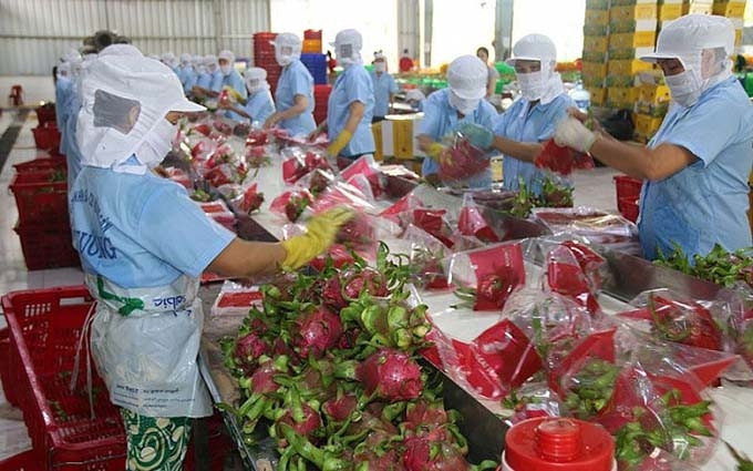 (Fotografía: baoquocte.vn)