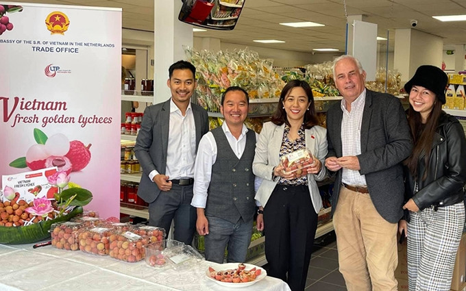 Empresas vietnamitas en el extranjero apoyan la promoción del lichi. (Fotografía: Nhan Dan)