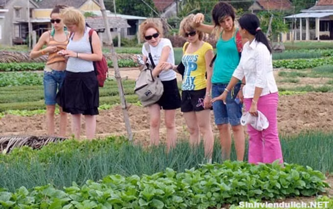 (Fotografía: baodienbienphu.info.vn)