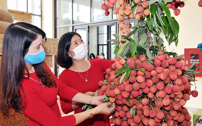 (Fotografía: moit.gov.vn)