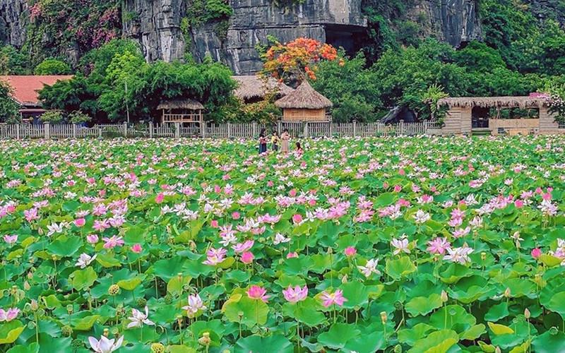 Un modelo de turismo agrícola en la provincia de Ninh Binh.
