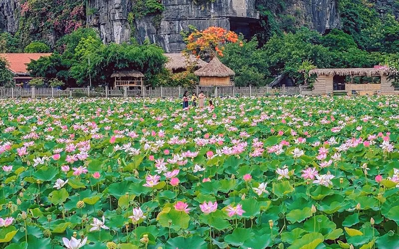 Un modelo de turismo agrícola en la provincia de Ninh Binh.