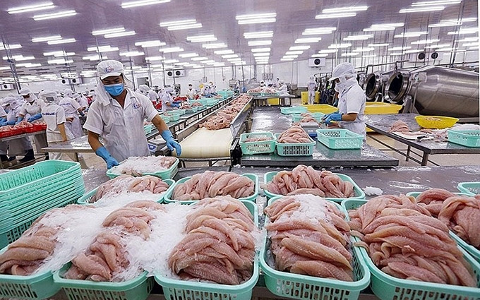 Procesamiento de productos acuáticos exportables a EAU. (Foto: VNA)