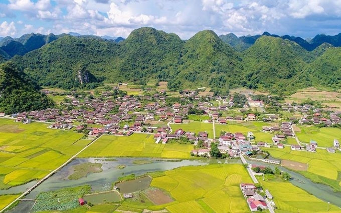 Belleza de temporada de cosecha de arroz en valle de Bac Son. (Fotografía: VNA)