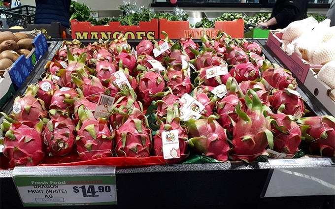 Las pitahayas de origen vietnamita cubren de rojo brillante un stand de Thaikee, hipermercado asiático en el centro de Sídney. (Foto: Oficina de Comercio de Vietnam en Australia)