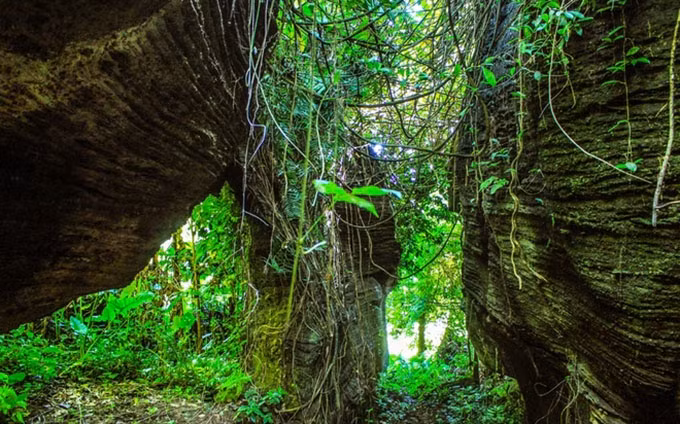 Misteriosa cueva de murciélagos en Quang Nam.