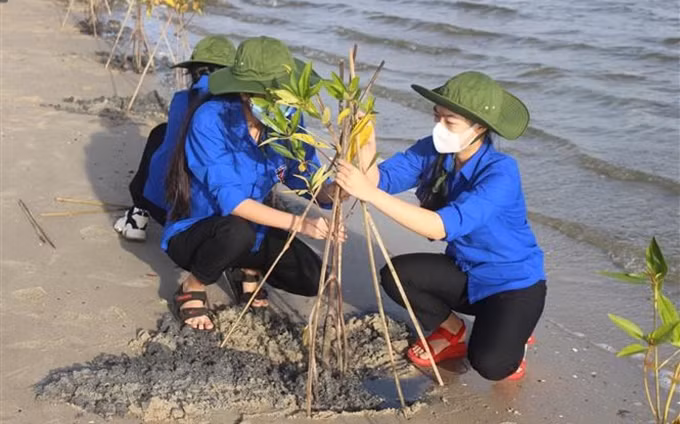 Foto de ilustración. (Fotografía: VNA)