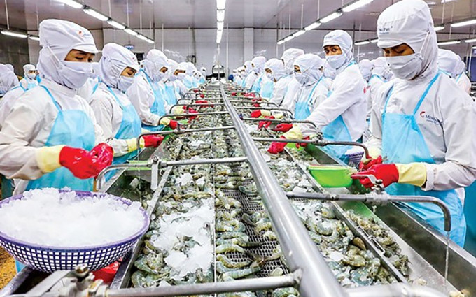 (Fotografía: saigondautu.com.vn)