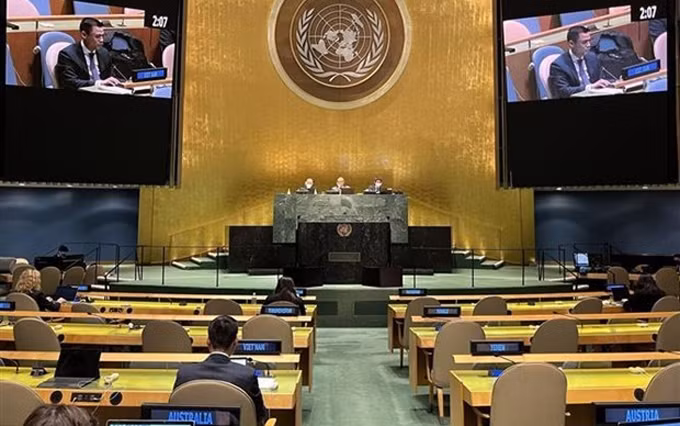 El embajador Dang Hoang Giang, jefe de la misión de Vietnam ante la ONU, interviene en una sesión de debate de la Asamblea General de la mayor institución mundial sobre la protección del planeta. (Fotografía: VNA)