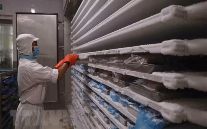 Foto de ilustración. (Fuente: VNA)