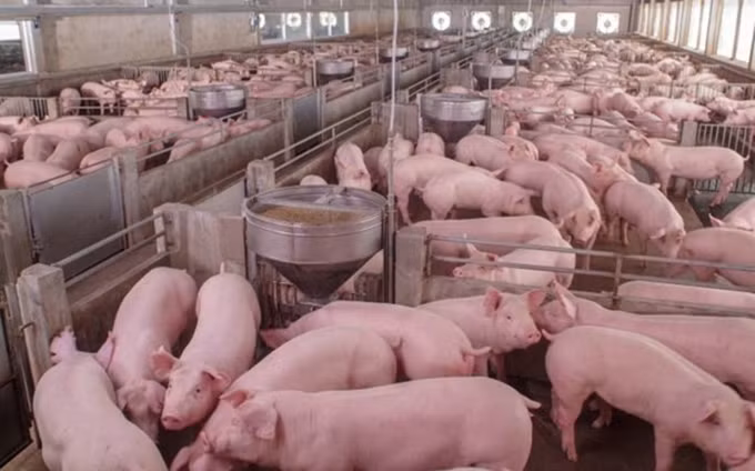 Foto de ilustración (Fotografía:wattagnet.com)