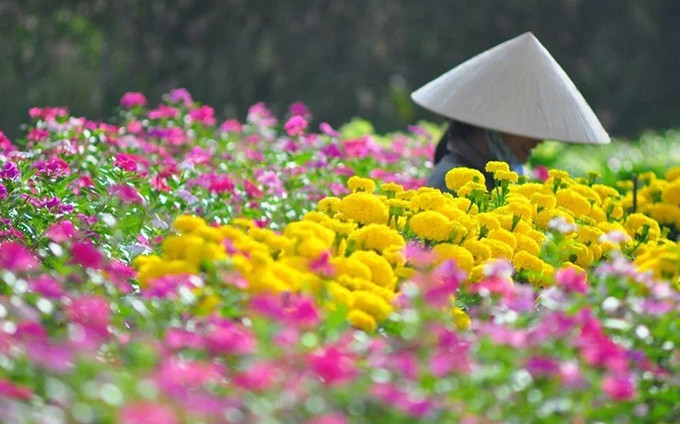 La aldea de flor de Sa Dec. (Fotografía: mytour.vn)