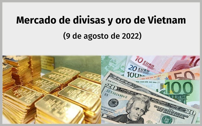Infografía: Mercado de divisas y oro de Vietnam - 9 de agosto