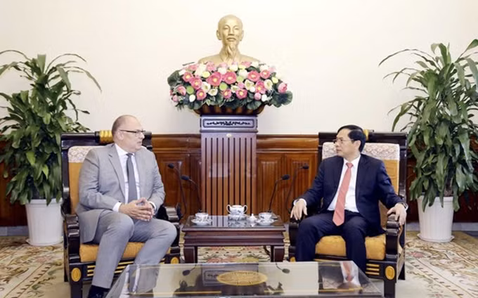 El ministro de Relaciones Exteriores de Vietnam, Bui Thanh Son (derecha), recibe al saliente embajador danés acreditado en Hanói, Kim Højlund Christensen. (Fotografía: VNA) 