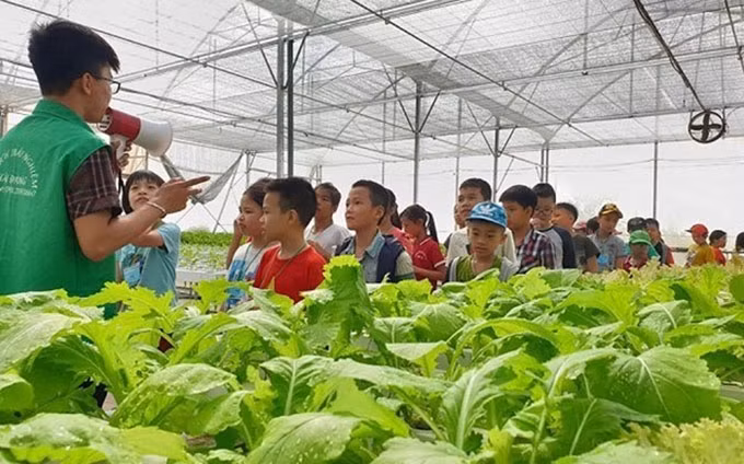 Niños visitan la granja Hai Dang en el distrito de Thanh Tri (Fotografía: Kinhtedothi.vn)