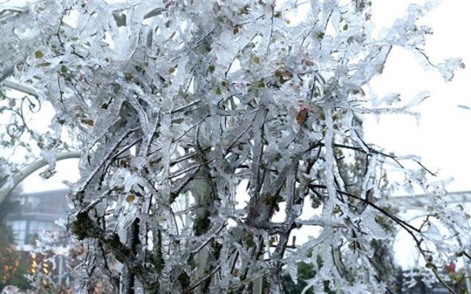  La nieve cubre el paso de O Quy Ho en la provincia vietnamita de Lao Cai (Fuente: VNA)