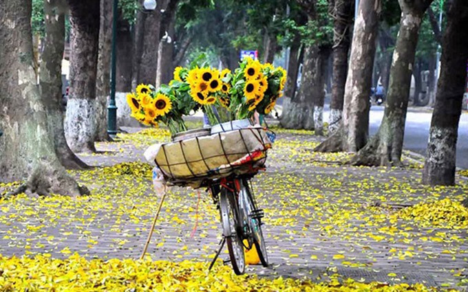 (Fotografía: thoidai.com.vn)