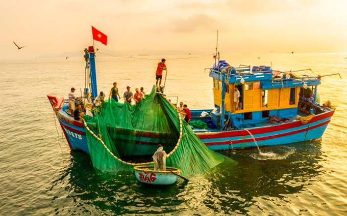 Hace falta que los pescadores unan manos a fin de conservar y recuperar la diversidad biológica marina y frenar la contaminación del océano. (Fotografía: sggp.org.vn)