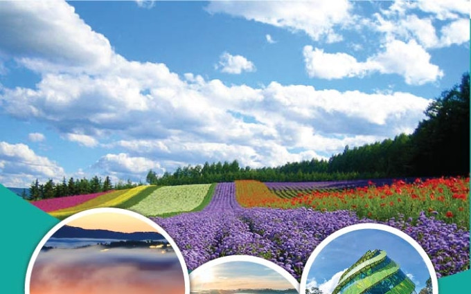 Ciudad de Vietnam entre mejores destinos del mundo para contemplar flores
