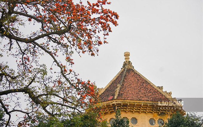 (Fotografía: laodong.vn)
