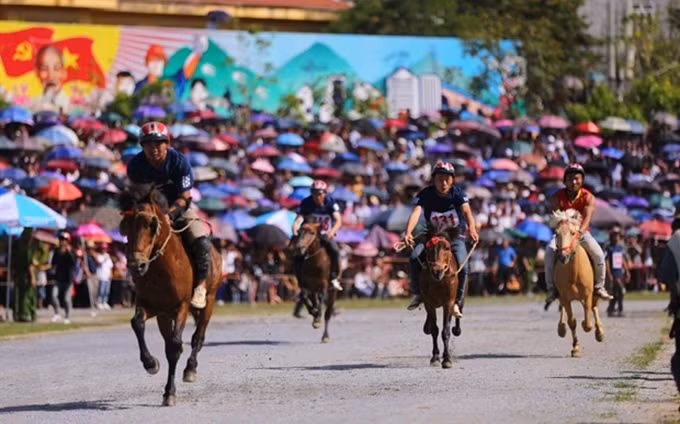Carrera de caballos Bac Ha nombrada Patrimonio cultural intangible de Vietnam 