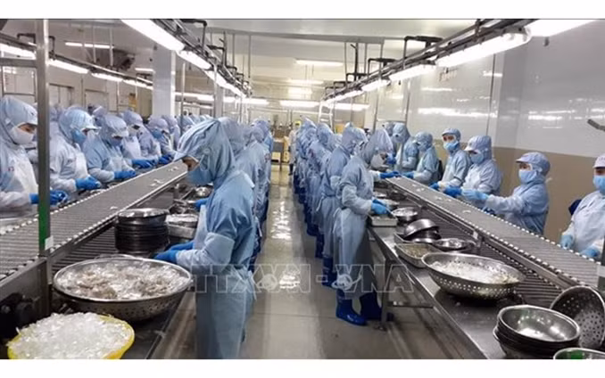 Foto de ilustración. (Fotografía: VNA) 