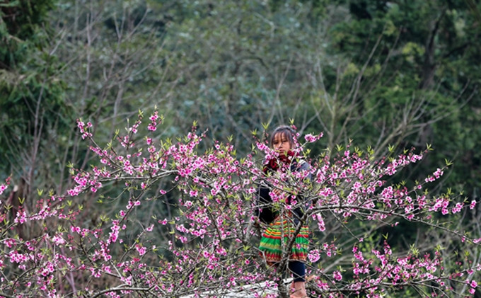 (Fotografía: toquoc.vn/Nam Nguyen)