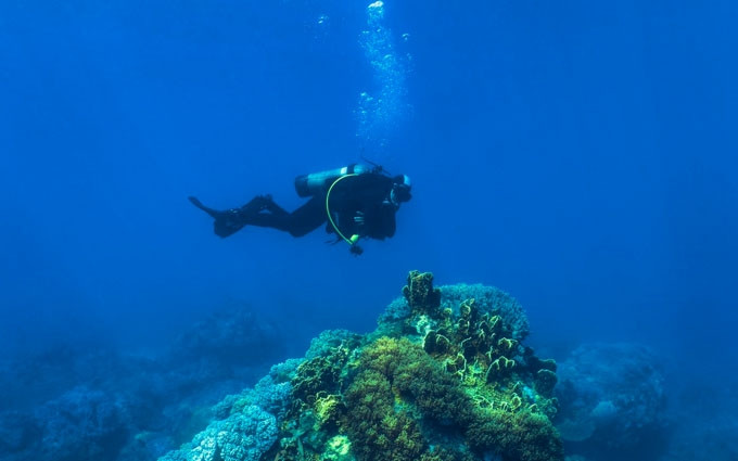 Aventura por el fondo marino de Hon Mun