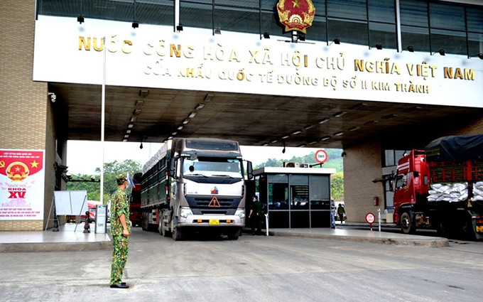 Bac Giang exporta cada día 500 toneladas de lichi a través de puerta fronteriza de Lao Cai (Fotografía: Nhan Dan)