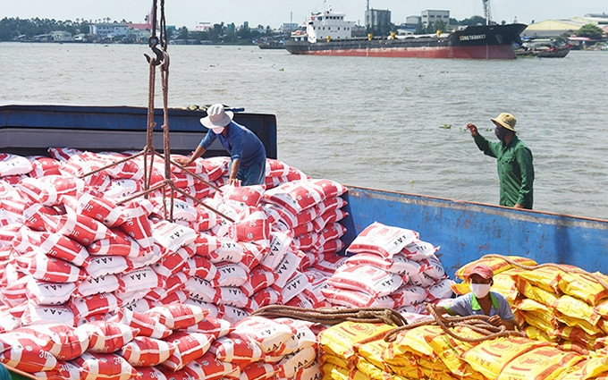 La exportación de arroza de Vietnam alcanza varios logros.