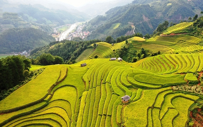 Terrazas de arroz en Mu Cang Chai.