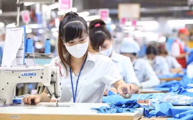 Foto de ilustración. (Fotografía: VNA) 