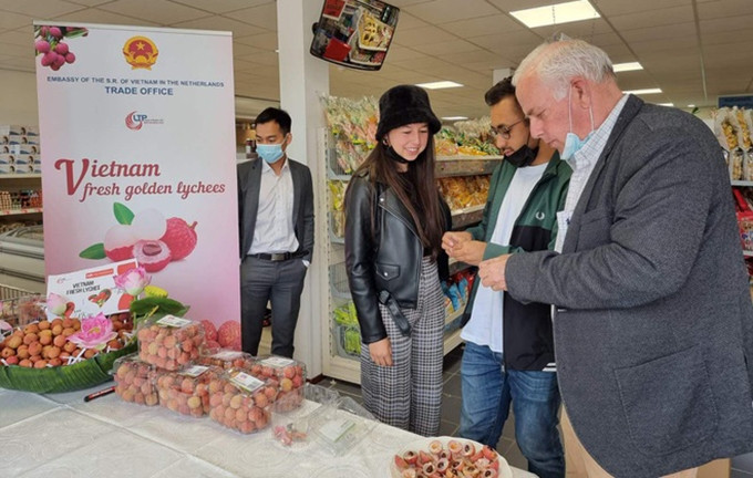 El lichi vietnamita se exhibe en un supermercado neerlandés. (Fotografía: Ministerio de Industria y Comercio de Vietnam)