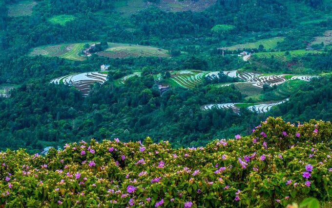 Un pequeño pueblo en el distrito de Binh Lieu. (Fotografía: giadinhonline.vn)