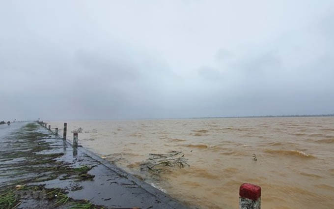 Campos de arroz en la comuna de Hai Que de la provincia de Quang Tri, sumergidos en agua debido a las fuertes lluvias (Fotografía: VNA)
