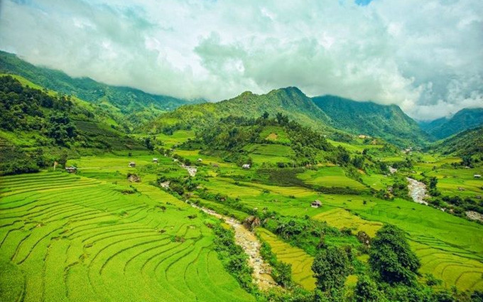 Sapa seduce en la temporada de maduración de arroz.