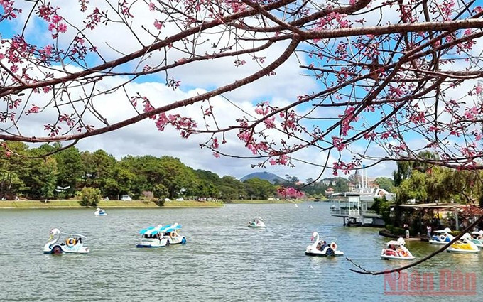 El lago de Xuan Huong, ciudad de Da Lat.