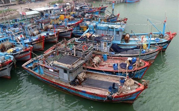 Barcos pesqueros en la ciudad de Da Nang. (Fotografía: VNA)