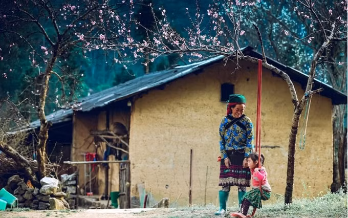 Abuela y nieto juegan bajo un árbol de durazno en la comuna de Sung La, distrito de Dong Van, provincia de Ha Giang. (Fotografía: nhandan.com.vn)