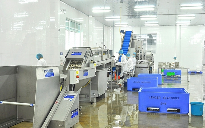 Exportaciones de mariscos de Vietnam a España mantienen un crecimiento constante