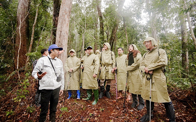 La UJCHCM participa en los movimientos de plantación.