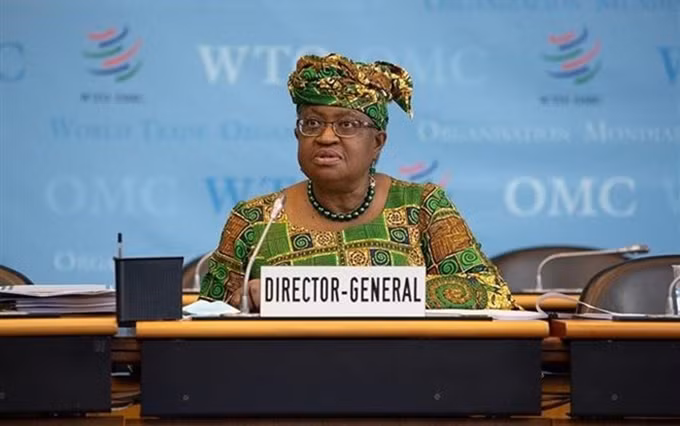 Según la directora general de la OMC, Okonjo Iweala, el acuerdo recién alcanzado reducirá los costos relacionados con el comercio de servicios en hasta 150 mil millones de dólares al año. (Fotografía: THX / VNA)