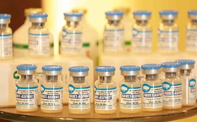 Foto de ilustración. (Fotografía: VNA) 