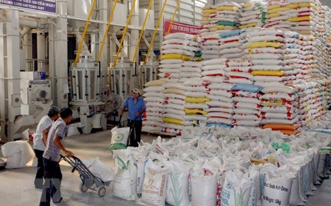 Arroz, uno de los productos principales de exportación de Vietnam a Reino Unido. (Fotografía: VNA)