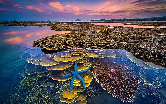 La obra titulada 'Los colores del mar' recibe el primer premio del concurso en 2018. (Fotografía: Tran Bao Hoa)