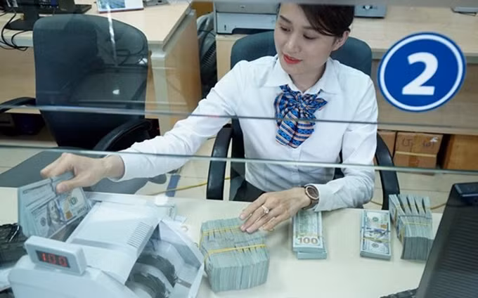 Foto de ilustración. (Fotografía: VNA)