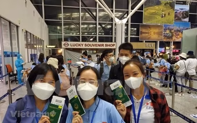 Foto de ilustración. (Fotografía: VNA) 