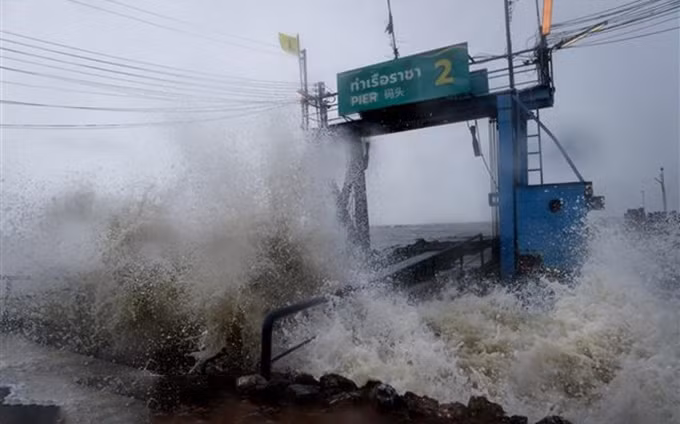 Grandes olas y fuertes vientos tras el paso de la tormenta tropical Pabuk por la provincia de Surat Thani, Tailandia, el 4 de enero. (Fuente: AFP/VNA)