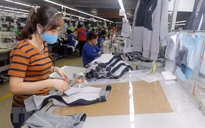 Foto de ilustración. (Fotografía: VNA) 